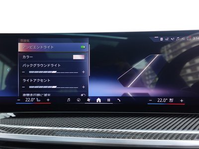 2024 BMW X7 缩略图 68