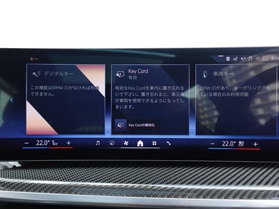 2024 BMW X7 缩略图 70