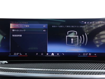 2024 BMW X7 缩略图 69