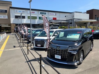 2024 Toyota ALPHARD thumbnail 48