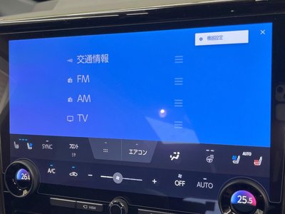 2024 TOYOTA ALPHARD 缩略图 39