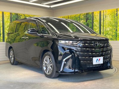 2024 TOYOTA ALPHARD 缩略图 17