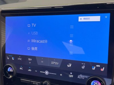 2024 TOYOTA ALPHARD 缩略图 40