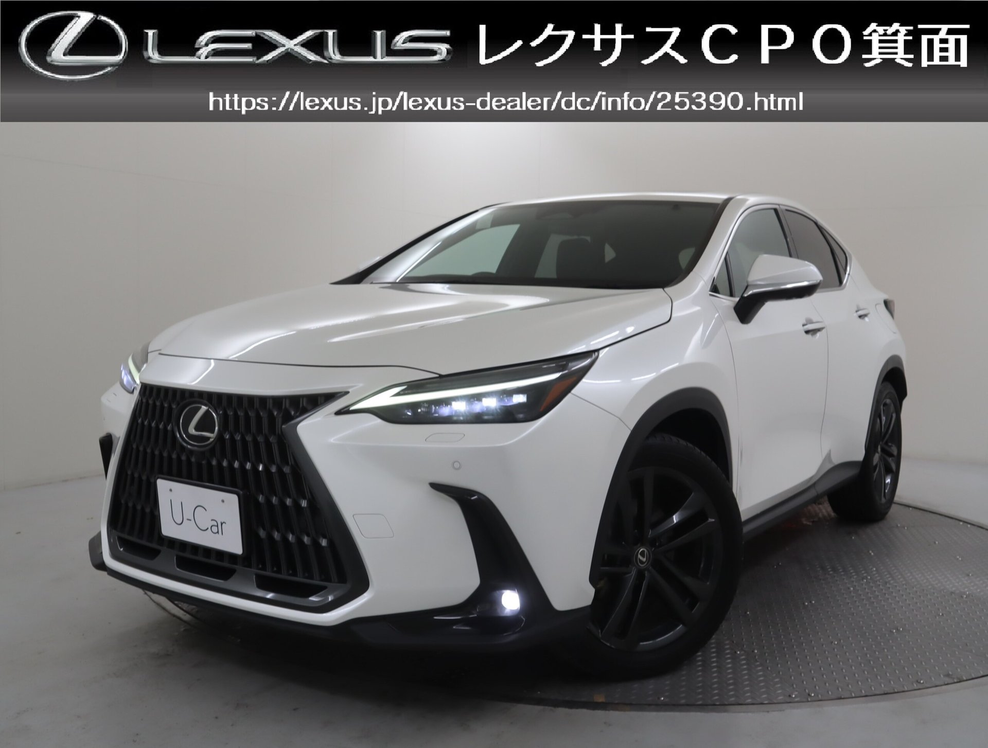 LEXUS NX - View 1