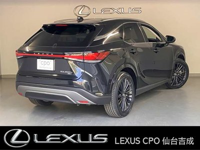 LEXUS RX - 10