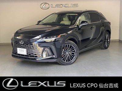 LEXUS RX - 1