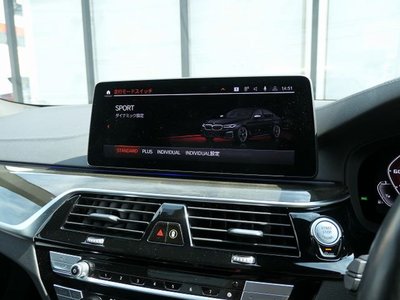 2020 BMW 5 SERIES 缩略图 39