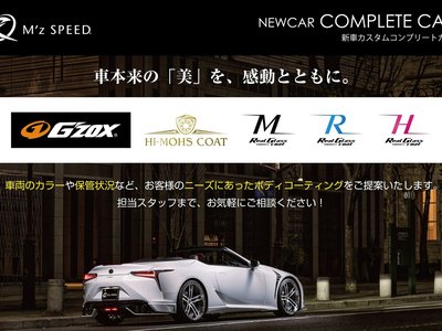 2026 Lexus RX thumbnail 30