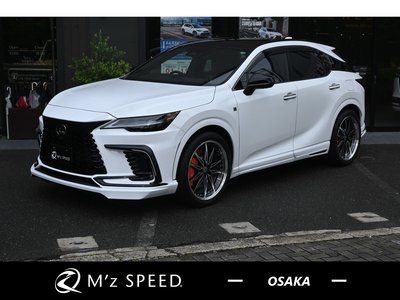 LEXUS RX - 1