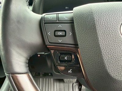 2025 TOYOTA ALPHARD thumbnail 44
