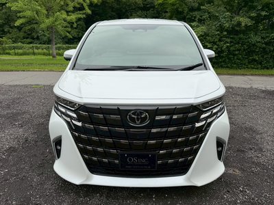 2025 TOYOTA ALPHARD thumbnail 21