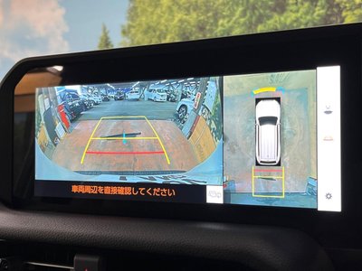 TOYOTA LAND CRUISER 250 - 5