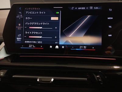 2025 BMW X1 缩略图 62