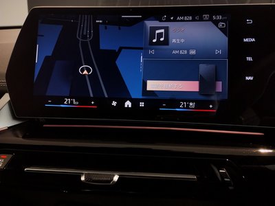 2025 BMW X1 缩略图 55