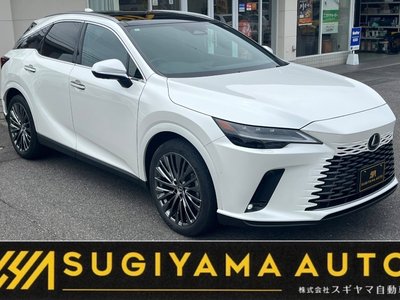 LEXUS RX - 1