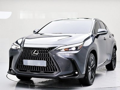 LEXUS NX - 1