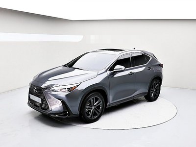 LEXUS NX - 6