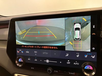 2023 Lexus RX thumbnail 22