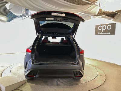 2023 Lexus RX thumbnail 29
