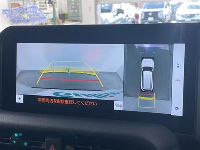 TOYOTA LAND CRUISER 250 - 3