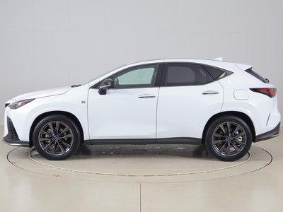 2023 Lexus NX 照片 3