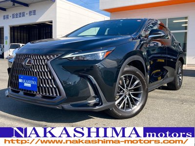 LEXUS NX - 1