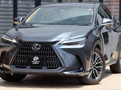 صورة مصغرة 21 لـ 2023 Lexus NX