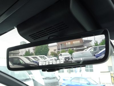 2025 TOYOTA ALPHARD thumbnail 30