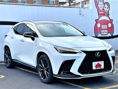 LEXUS NX - 4