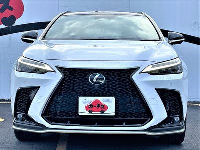 LEXUS NX - 6