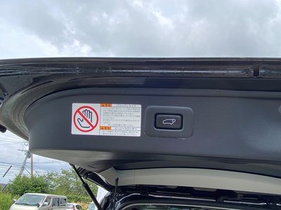 2019 Toyota ALPHARD 缩略图 38