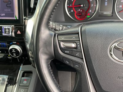 2019 Toyota ALPHARD 缩略图 24