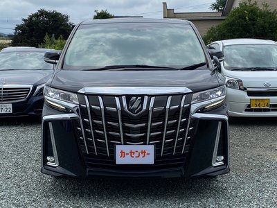 2019 Toyota ALPHARD 照片 2