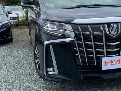 2019 Toyota ALPHARD 缩略图 41