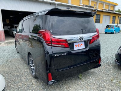 2019 Toyota ALPHARD 照片 6