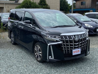 2019 Toyota ALPHARD 照片 3