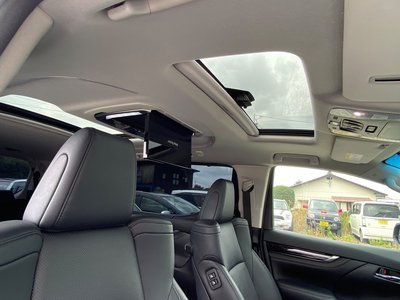 2019 Toyota ALPHARD 缩略图 14