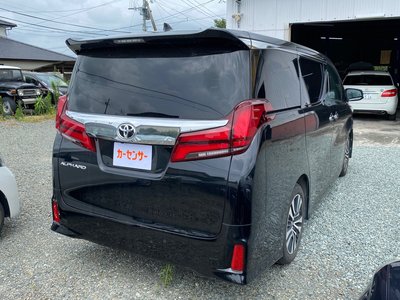 2019 Toyota ALPHARD 照片 8