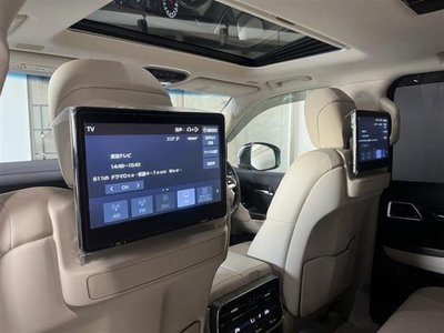 2024 Toyota LAND CRUISER 300 照片 3
