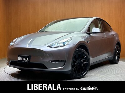 TESLA MODEL Y - 1