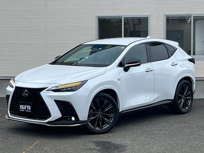 2023 Lexus NX 照片 1