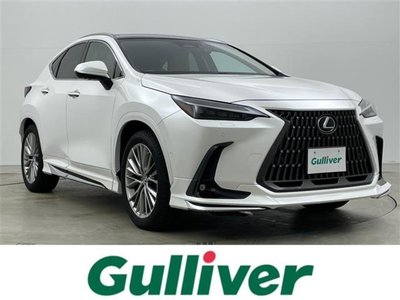 LEXUS NX - 1