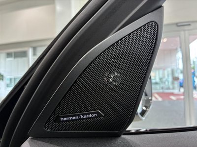 صورة مصغرة 36 لـ 2025 BMW X3