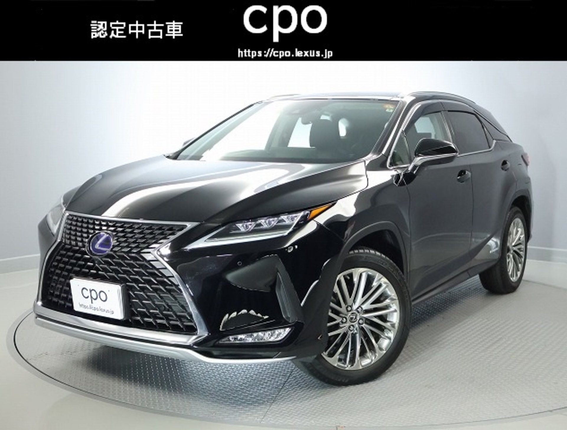 LEXUS RX - View 1