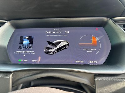 2020 Tesla MODEL S — миниатюра 39