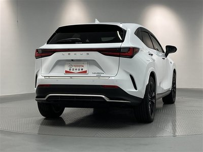 LEXUS NX - 10