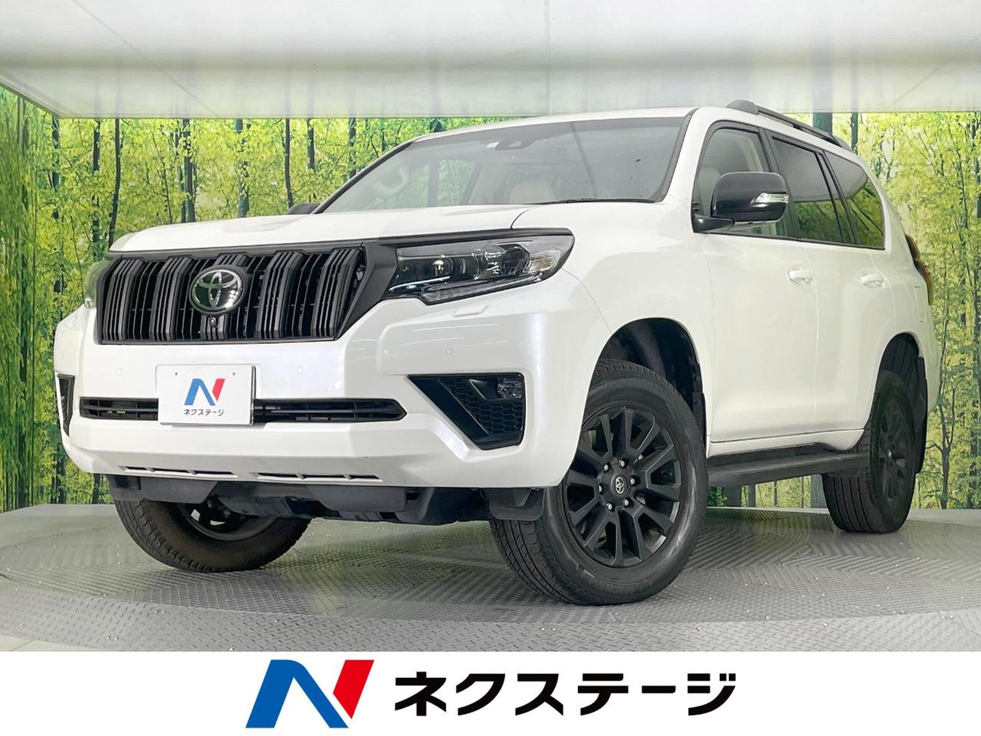 TOYOTA LAND CRUISER PRADO - View 1