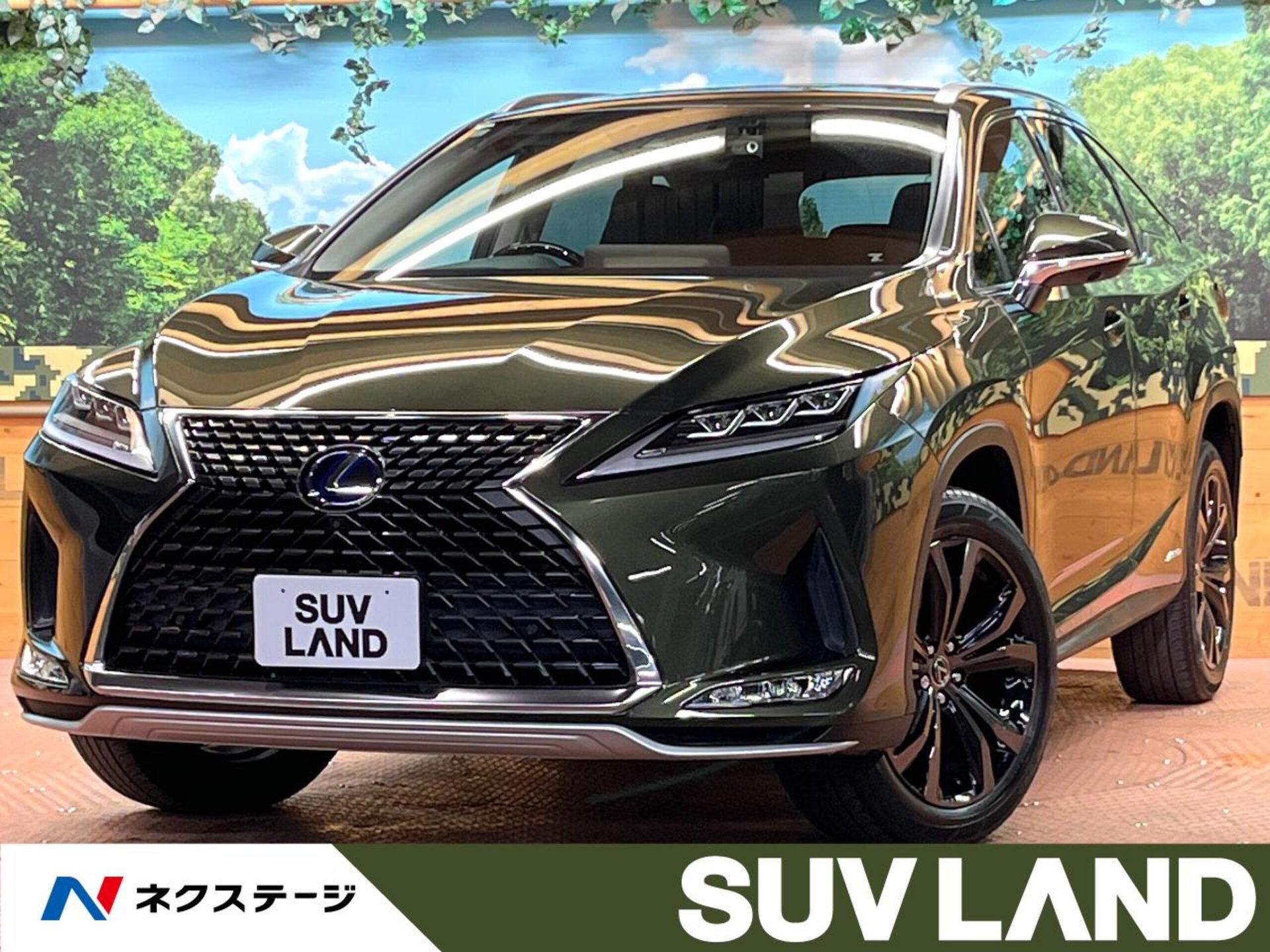 LEXUS RX - View 1