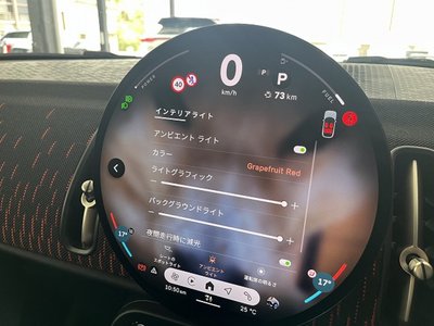 2025 MINI COOPER COUNTRYMAN 缩略图 68
