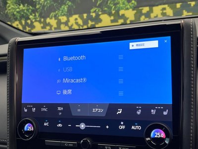 2025 Toyota ALPHARD 缩略图 67